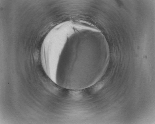 X0000077320139200611171752