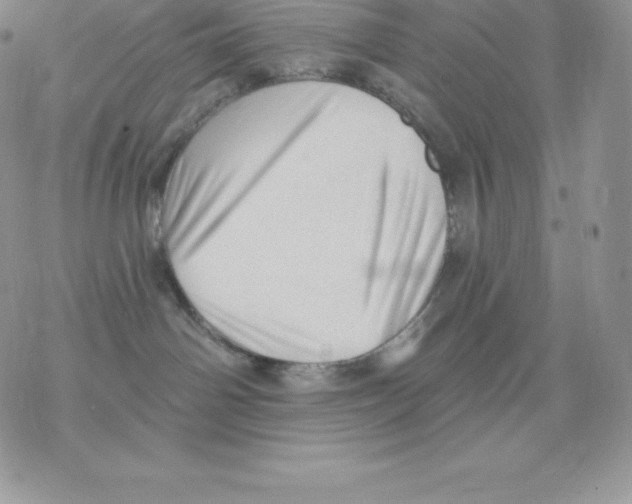 X0000077320142200611171752