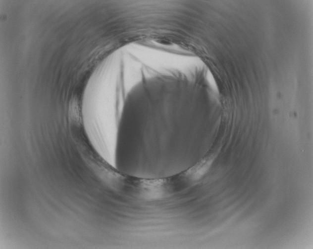 X0000077320143200611171752