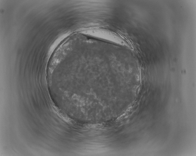 X0000077320147200611171751