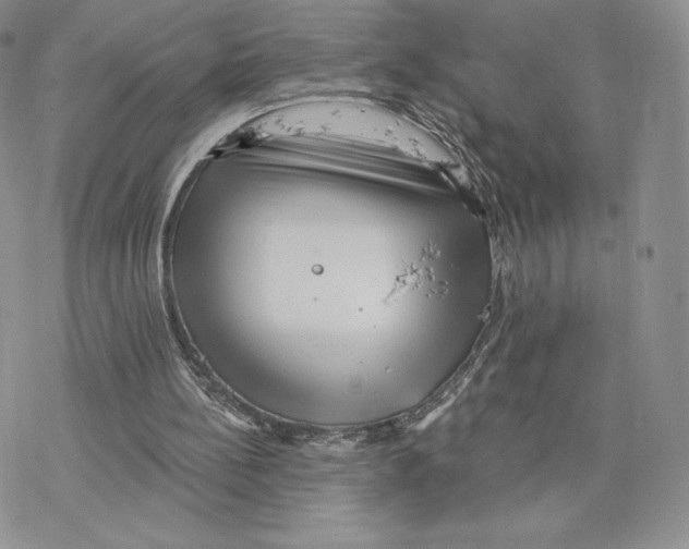 X0000077320148200611171751