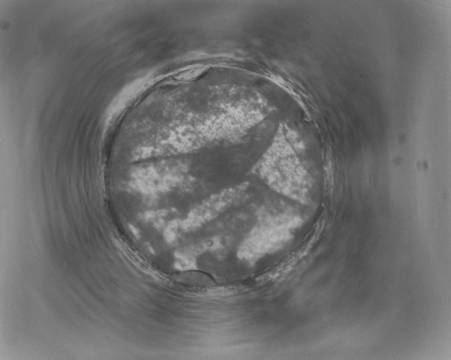 X0000077320149200611171751