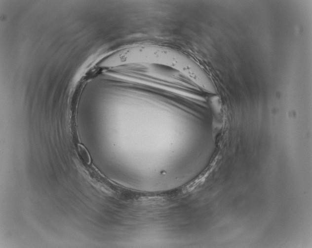 X0000077320150200611171751