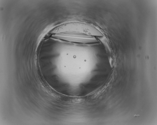 X0000077320152200611171751