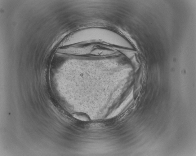 X0000077320154200611171751