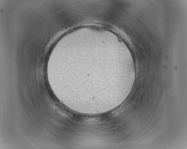 X0000077320155200611171751