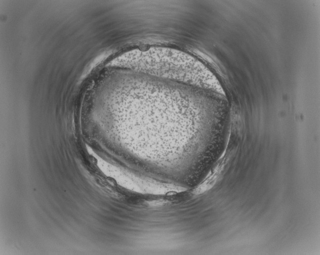 X0000077320158200611171751