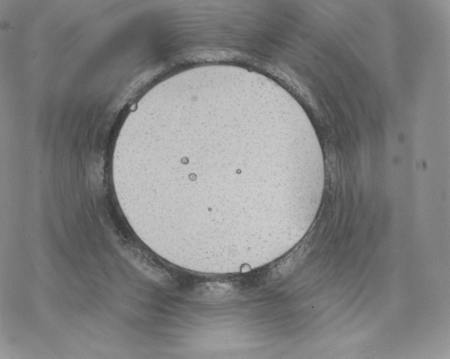 X0000077320159200611171751