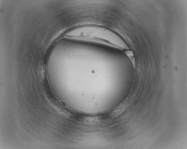 X0000077320160200611171751