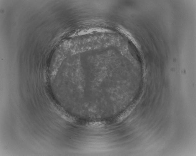 X0000077320161200611171751