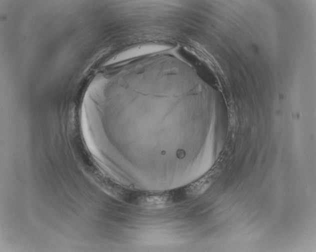 X0000077320163200611171751