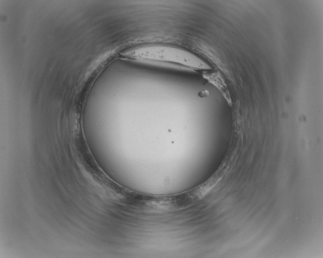 X0000077320164200611171751