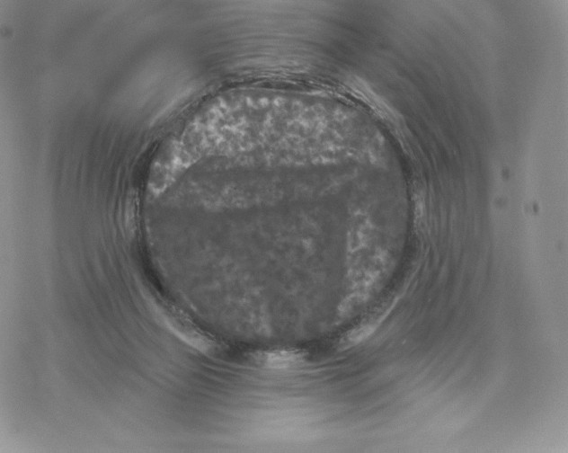 X0000077320165200611171751