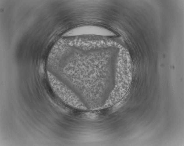 X0000077320166200611171751