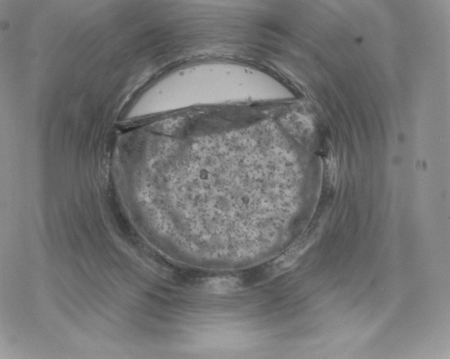 X0000077320168200611171751