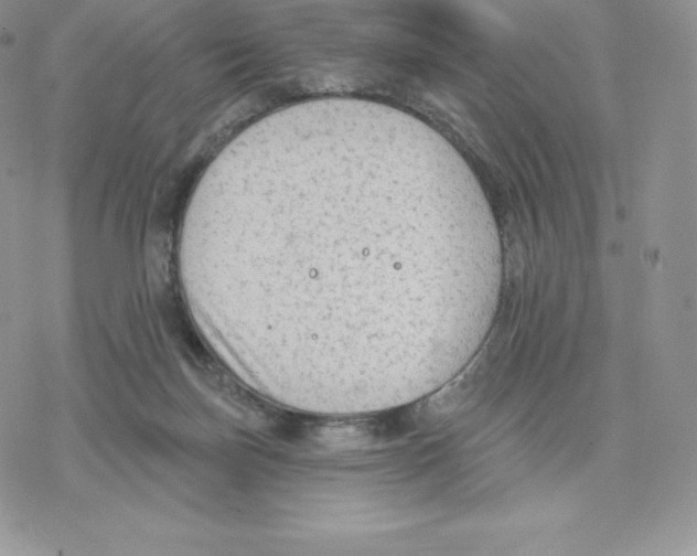 X0000077320171200611171751