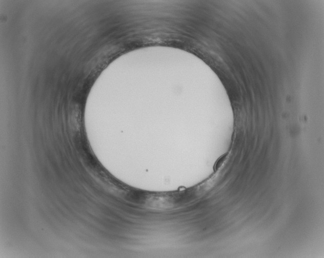 X0000077320174200611171751