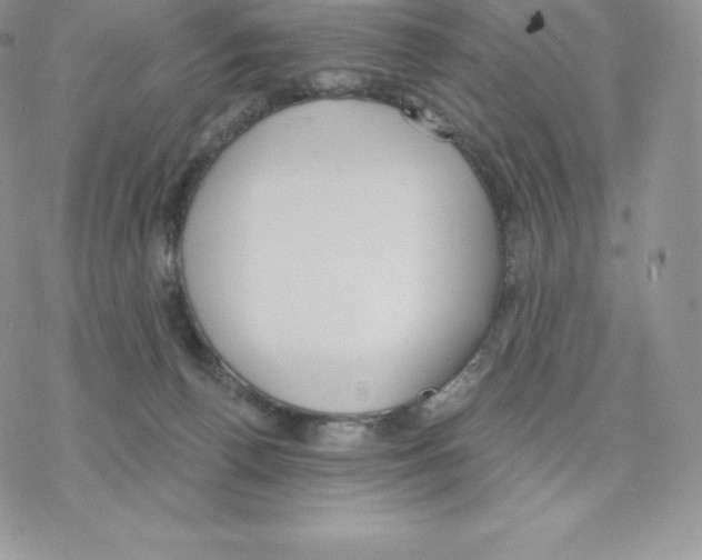 X0000077320176200611171751