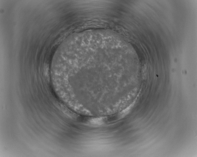 X0000077320178200611171751