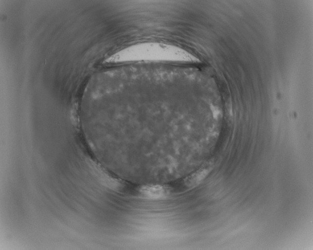 X0000077320181200611171751