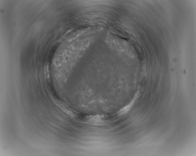 X0000077320182200611171751