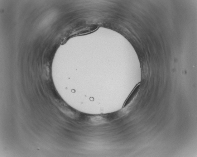 X0000077320183200611171751