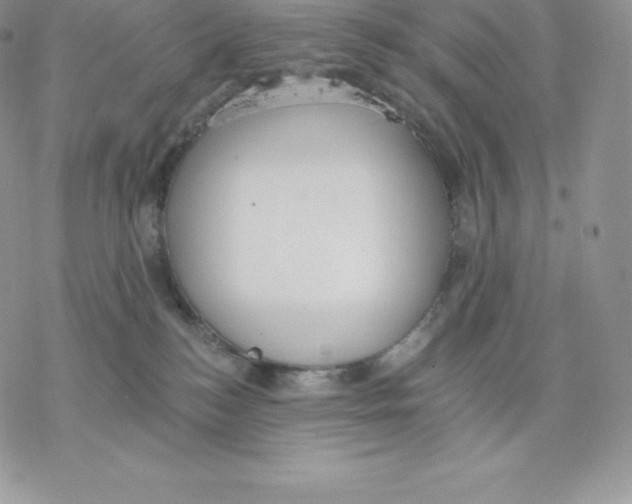 X0000077320184200611171751