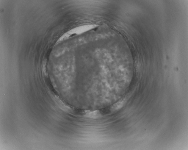 X0000077320185200611171751