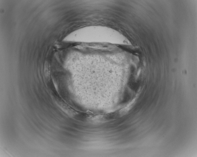 X0000077320186200611171751