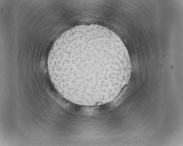 X0000077320187200611171751