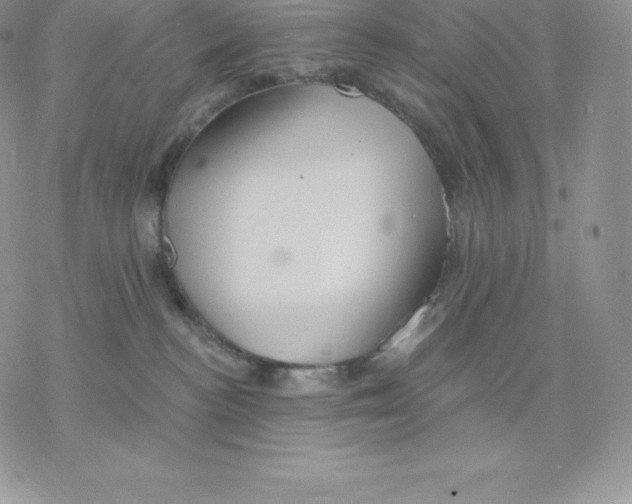 X0000077320188200611171751