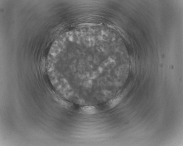 X0000077320189200611171751