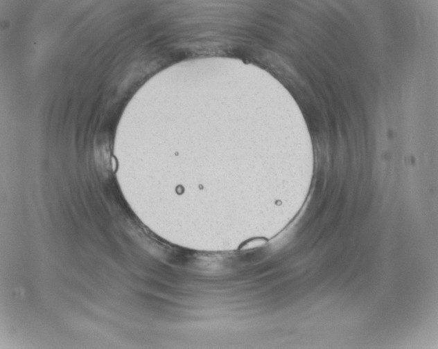 X0000077320190200611171752