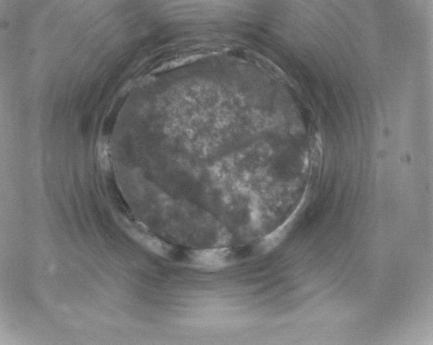 X0000077320191200611171752