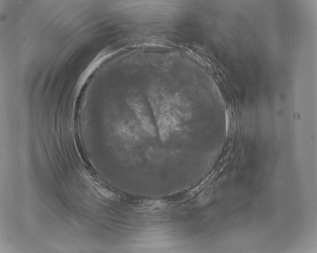 X0000077320195200611171751