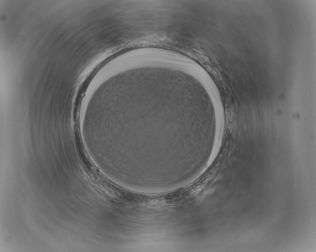 X0000077320196200611171751