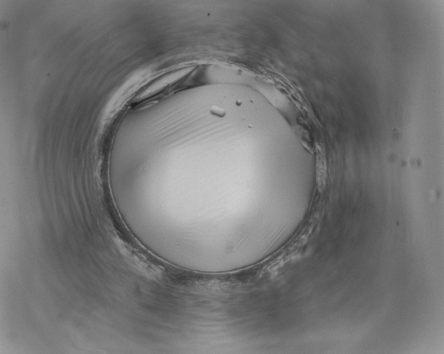 X0000077320197200611171751