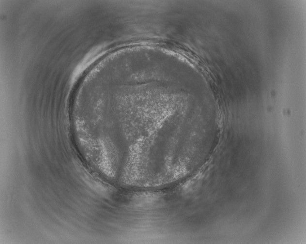 X0000077320198200611171751