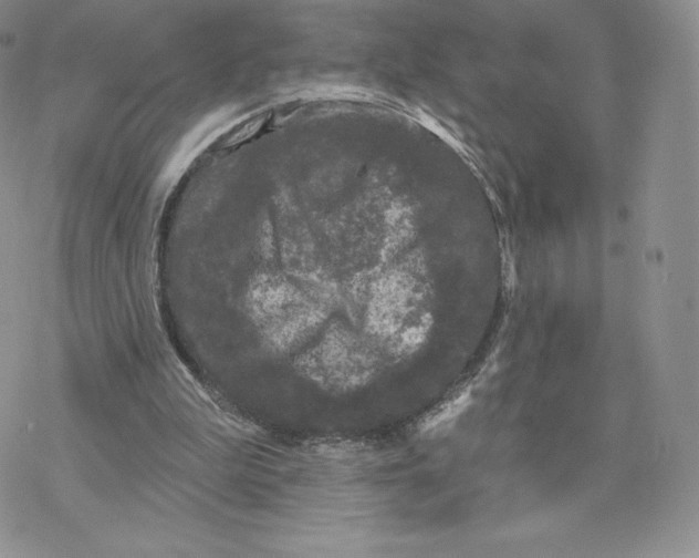 X0000077320199200611171751