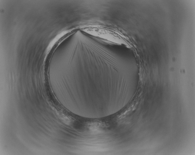 X0000077320200200611171751