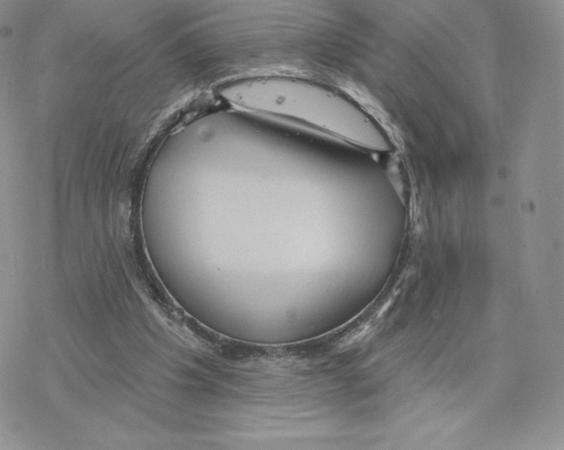 X0000077320201200611171751