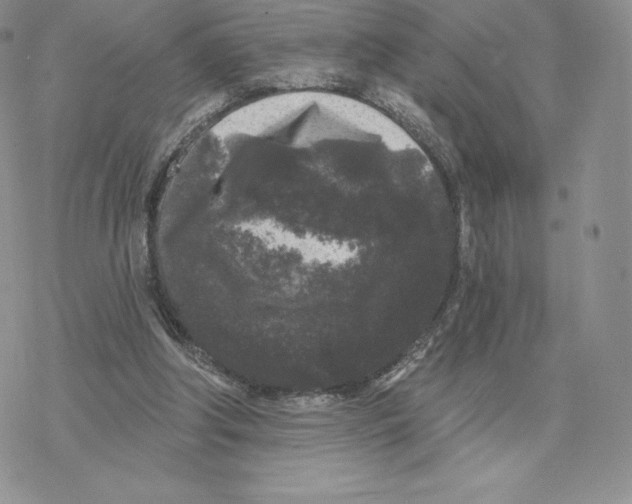 X0000077320202200611171751