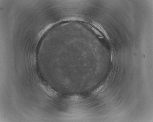 X0000077320204200611171751