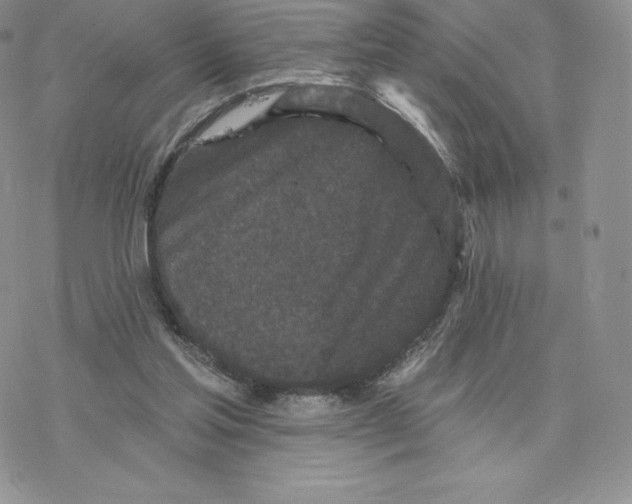 X0000077320205200611171751