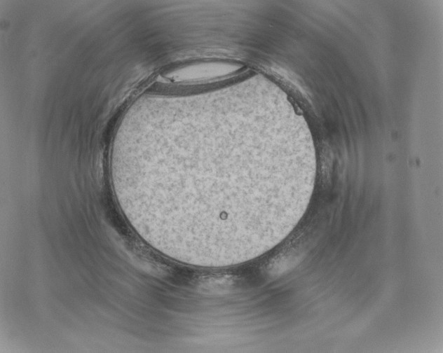 X0000077320206200611171751