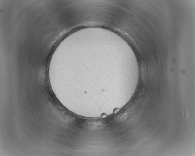 X0000077320208200611171751