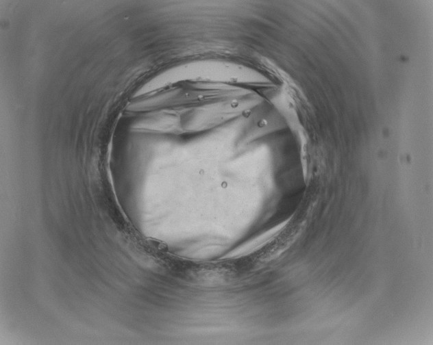 X0000077320209200611171751