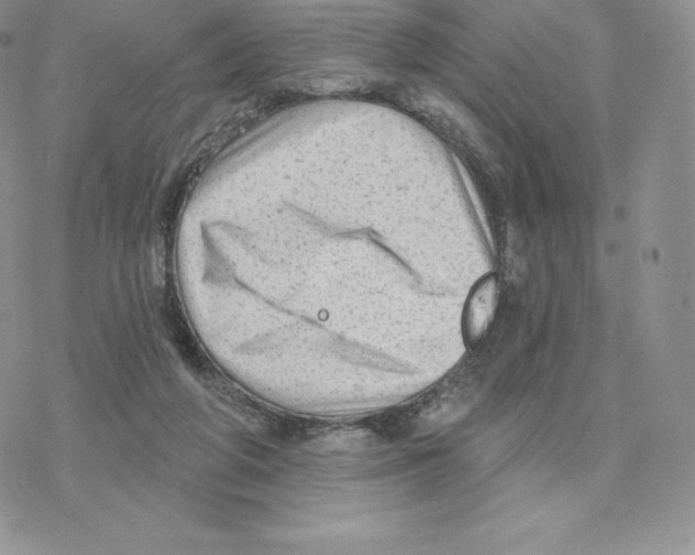 X0000077320210200611171750