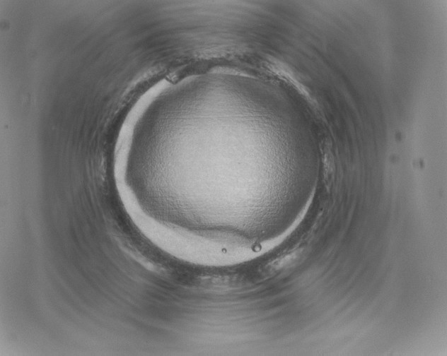 X0000077320211200611171750