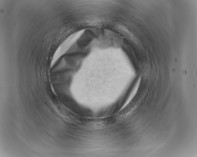 X0000077320213200611171750